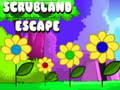 Scrubland Escape