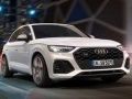 ਔਡੀ SQ5 TDI ਸਲਾਈਡ 