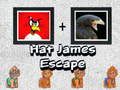 ਟੋਪੀ ਜੇਮਜ਼ Escape 