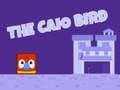 Caio ਪੰਛੀ 