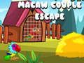 Macaw ਜੋੜਾ ਬਚ 