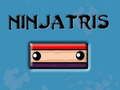 ਨਿੰਜਾਤ੍ਰੀਆਂ 