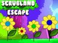 Scrubland Escape 