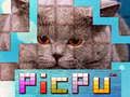 PicPu ਬਿੱਲੀ 