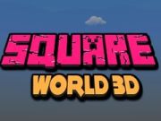 ਵਰਗ ਵਿਸ਼ਵ 3D 