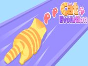 ਬਿੱਲੀ ਈਵੇਲੂਸ਼ਨ