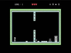 ਸਰਵਾਈਵਲ ਦਾ ਕਿਨਾਰਾ