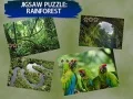 Jigsaw Puzzle Rain Forest Jigsaw Puzzle Rain Forest