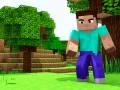ਮਿੰਨੀ ਕਰਾਫਟ 