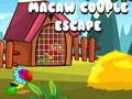 Macaw ਜੋੜਾ ਬਚ 