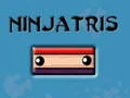 ਨਿੰਜਾਤ੍ਰੀਆਂ 