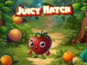 Juicy Match Juicy Match