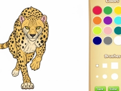 ਜੰਗਲੀ ਜਾਨਵਰਾਂ ਦਾ ਰੰਗ ਕਿਤਾਬ
