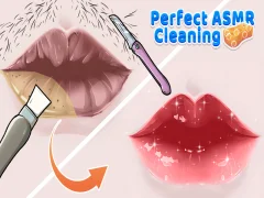 ਸੰਪੂਰਣ asmr ਸਫਾਈ