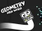 ਜਿਓਮੈਟਰੀ ਓਪਨ ਵਰਲਡ