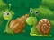 Cute Snails Jigsaw 