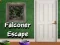 Falconer Escape 