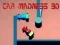 ਕਾਰ ਮੈਡਨੇਸ 3D  ਕਾਰ ਮੈਡਨੇਸ 3D