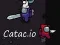 ਕੈਟਾਕ. io  ਕੈਟਾਕ. io