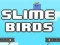Slime ਪੰਛੀ 