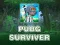 PUBG ਸਰਵਾਈਵਰ 