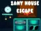 Zany House Escape 