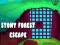 Stony Forest Escape 