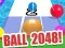 ਬਾਲ 2048 