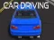 ਕਾਰ ਡਰਾਈਵਿੰਗ 
