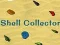ਸ਼ੈੱਲ ਕੁਲੈਕਟਰ 