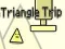 ਤਿਕੋਣ ਯਾਤਰਾ 