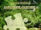 Jigsaw Puzzle ਜਾਪਾਨੀ ਗਾਰਡਨ 2 