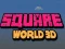 ਵਰਗ ਵਿਸ਼ਵ 3D 