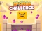 ਸਪੰਜ ਚੈਲੇਂਜ 