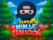 Super Ninja Balloon