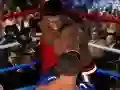 ਅੰਤਮ ਮੁੱਕੇਬਾਜ਼ੀ 