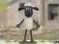 ਸ਼ੌਨ ਦ ਸ਼ੀਪ: ਉੱਨੀ ਜੰਪਰ! ਸ਼ੌਨ ਦ ਸ਼ੀਪ: ਉੱਨੀ ਜੰਪਰ!