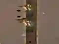 ਛੋਟੀਆਂ ਰਾਈਫਲਾਂ 