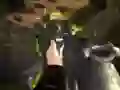 ਬੁਲੇਟ ਫੋਰਸ ਬੁਲੇਟ ਫੋਰਸ