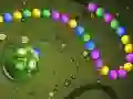 Frogtastic 