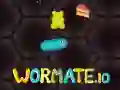 ਵਰਮੇਟ. io ਵਰਮੇਟ. io