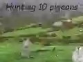 ਕਬੂਤਰ ਸ਼ਿਕਾਰ ਕਬੂਤਰ ਸ਼ਿਕਾਰ