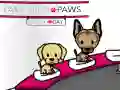Pampered Paws Doggy Day Pampered Paws Doggy Day