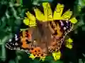 Jigsaw Puzzle: ਬਸੰਤ Jigsaw Puzzle: ਬਸੰਤ