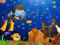ਅੰਡਰਵਾਟਰ ਫੋਟੋ ਫਰਕ ਅੰਡਰਵਾਟਰ ਫੋਟੋ ਫਰਕ