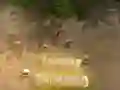 ਟਾਵਰ ਰੱਖਿਆ ਟਾਵਰ ਰੱਖਿਆ