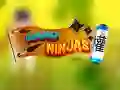 ਨੈਨੋ ਨਿੰਜਾ ਨੈਨੋ ਨਿੰਜਾ