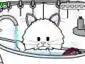 Pampered Paws: ਕਿਟੀ ਕੇਅਰ Pampered Paws: ਕਿਟੀ ਕੇਅਰ