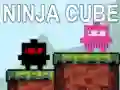 ਨਿਣਜਾਹ ਘਣ ਨਿਣਜਾਹ ਘਣ