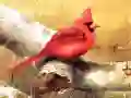 ਕਲਾ ਪੰਛੀ ਬੁਝਾਰਤ ਕਲਾ ਪੰਛੀ ਬੁਝਾਰਤ